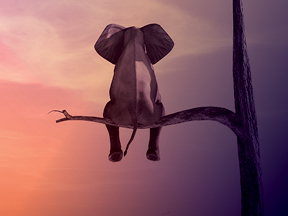 Aurora lights behind digital rays